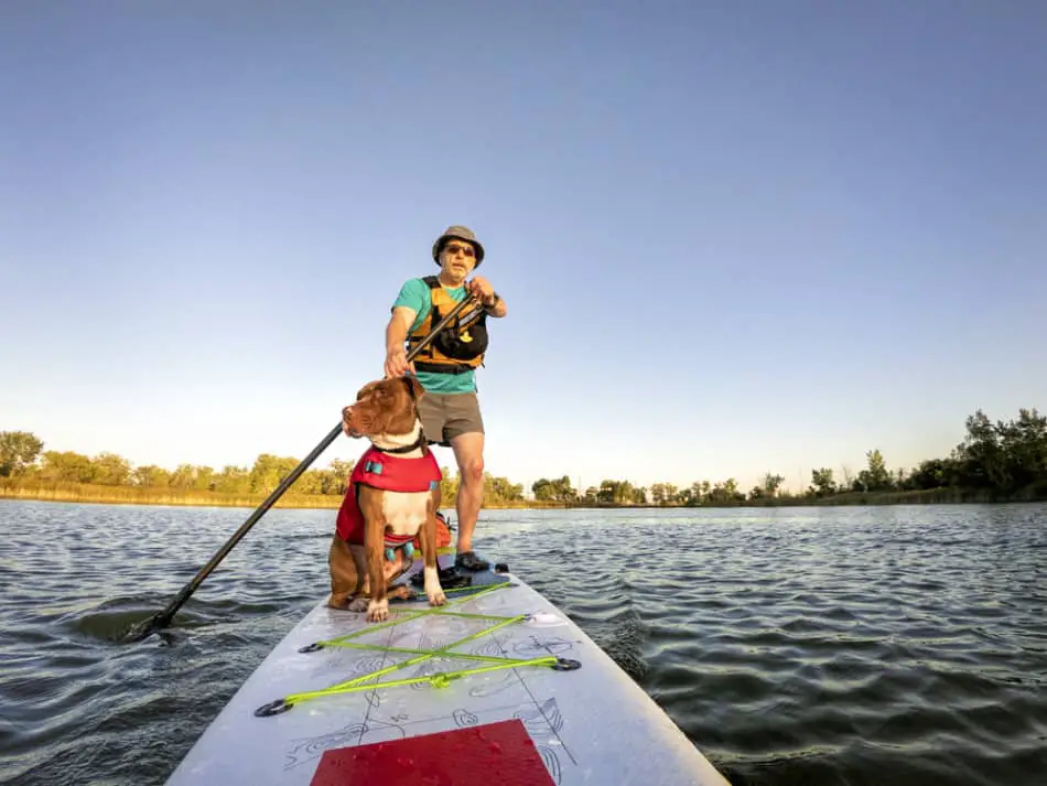 Man and Dog riding a SUP Paddle Board